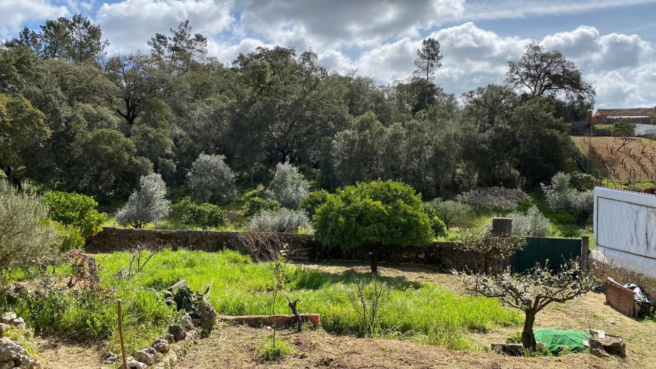 Casalinho In Portugal Country House Villa Tomar Exterior photo